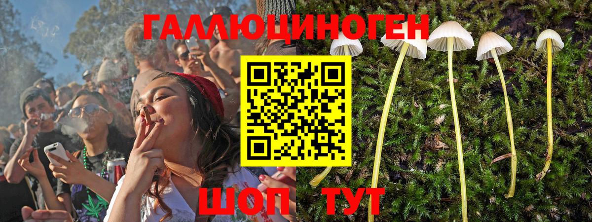 Жуковский  Псилоцибиновые грибы GOLDEN TEACHER  Вход с VPN 